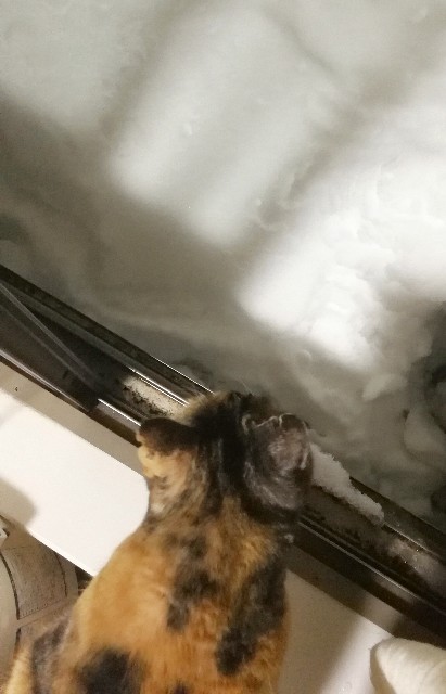 f:id:hiraryo0201:20180123075836j:image f:id:hiraryo0201:20180123075836j:image