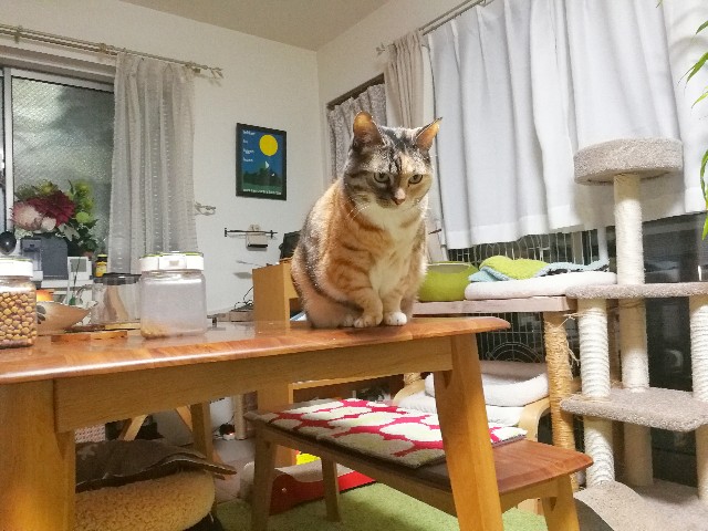 f:id:hiraryo0201:20180123222222j:image