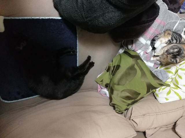 f:id:hiraryo0201:20180125104327j:image