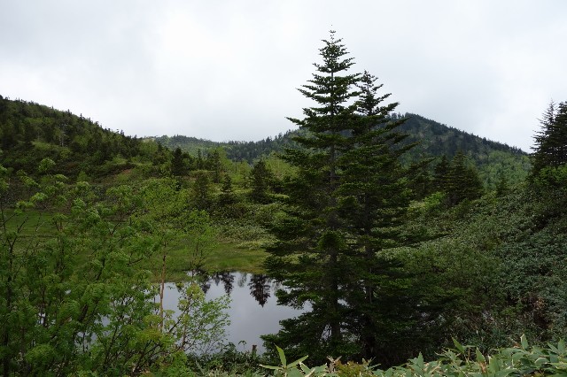 f:id:hiraryo0201:20180125104952j:plain