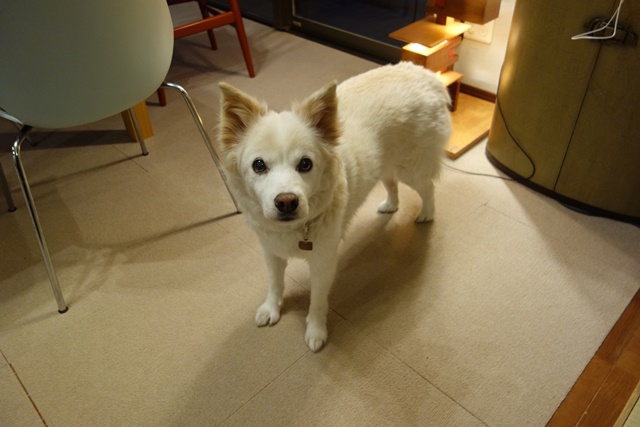 f:id:hiraryo0201:20180128113845j:plain f:id:hiraryo0201:20180128113845j:plain