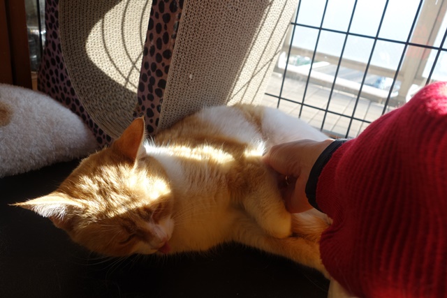 f:id:hiraryo0201:20180128114757j:plain f:id:hiraryo0201:20180128114757j:plain