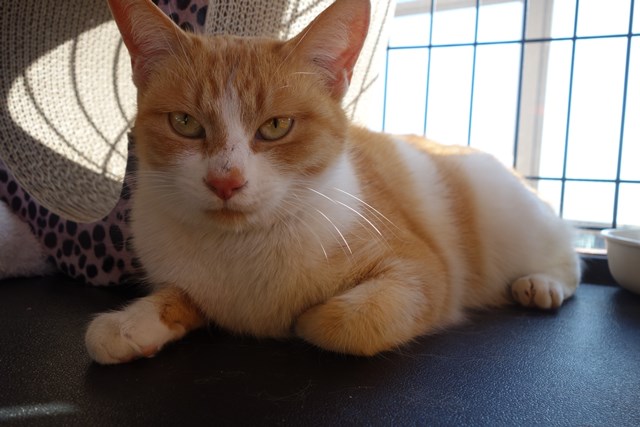 f:id:hiraryo0201:20180128115314j:plain f:id:hiraryo0201:20180128115314j:plain