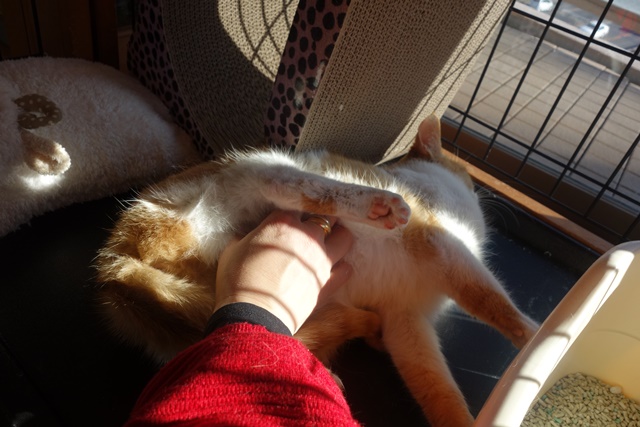 f:id:hiraryo0201:20180128120559j:plain f:id:hiraryo0201:20180128120559j:plain