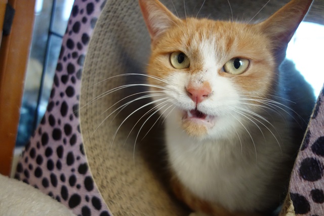 f:id:hiraryo0201:20180128121221j:plain f:id:hiraryo0201:20180128121221j:plain