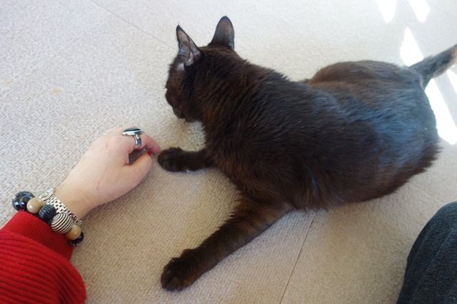 f:id:hiraryo0201:20180128121849j:plain f:id:hiraryo0201:20180128121849j:plain