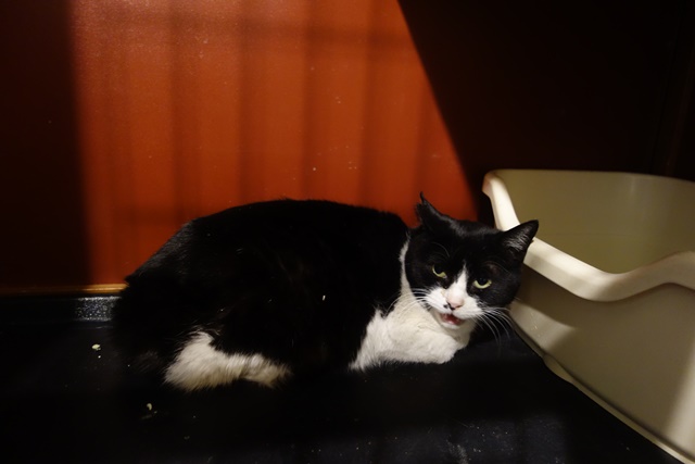 f:id:hiraryo0201:20180128122715j:plain f:id:hiraryo0201:20180128122715j:plain