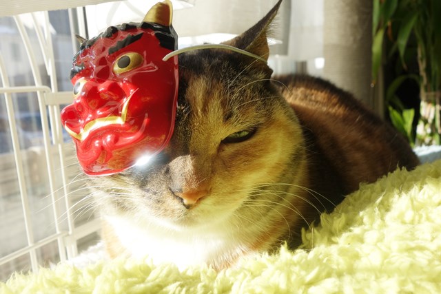 f:id:hiraryo0201:20180128123619j:plain f:id:hiraryo0201:20180128123619j:plain