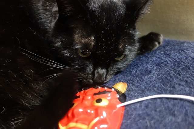 f:id:hiraryo0201:20180128123658j:plain f:id:hiraryo0201:20180128123658j:plain