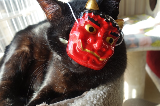 f:id:hiraryo0201:20180128123729j:plain f:id:hiraryo0201:20180128123729j:plain