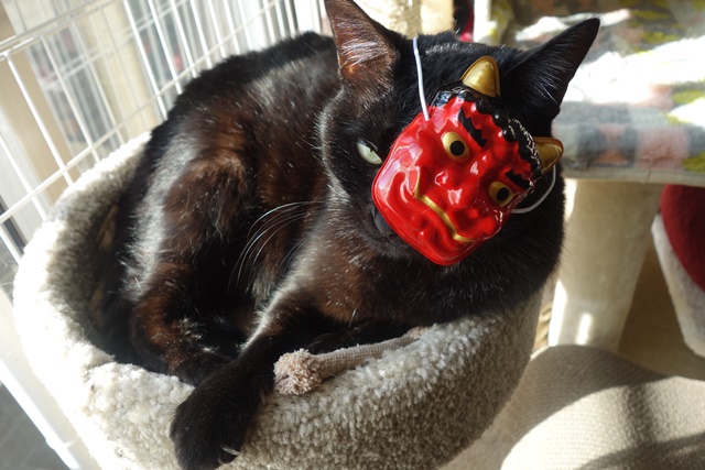 f:id:hiraryo0201:20180128123736j:plain f:id:hiraryo0201:20180128123736j:plain