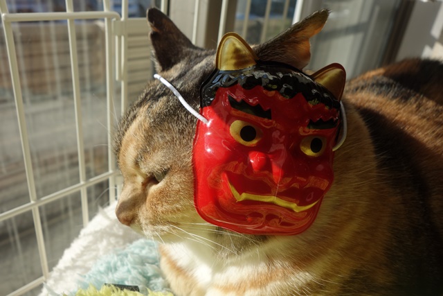 f:id:hiraryo0201:20180128123747j:plain f:id:hiraryo0201:20180128123747j:plain