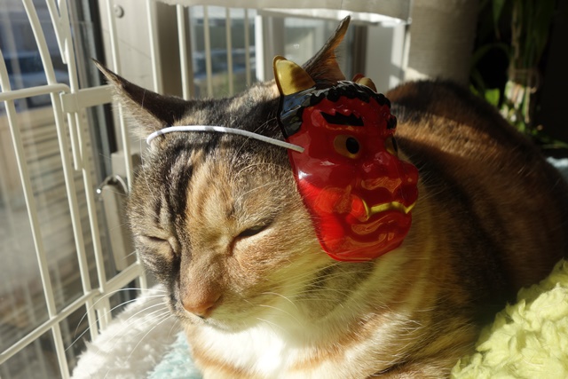 f:id:hiraryo0201:20180128123754j:plain f:id:hiraryo0201:20180128123754j:plain