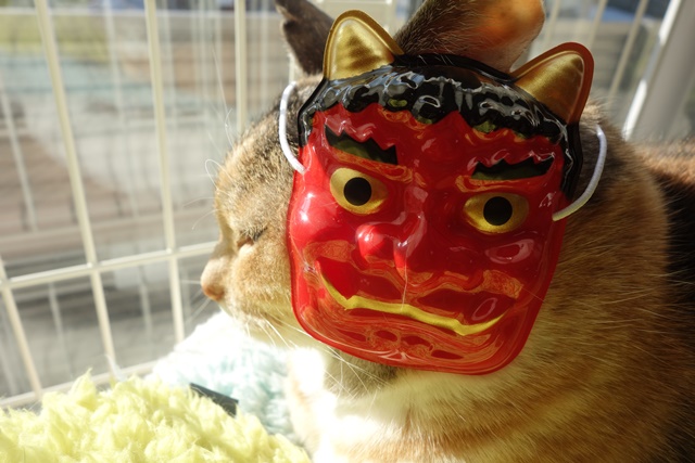 f:id:hiraryo0201:20180128123801j:plain f:id:hiraryo0201:20180128123801j:plain