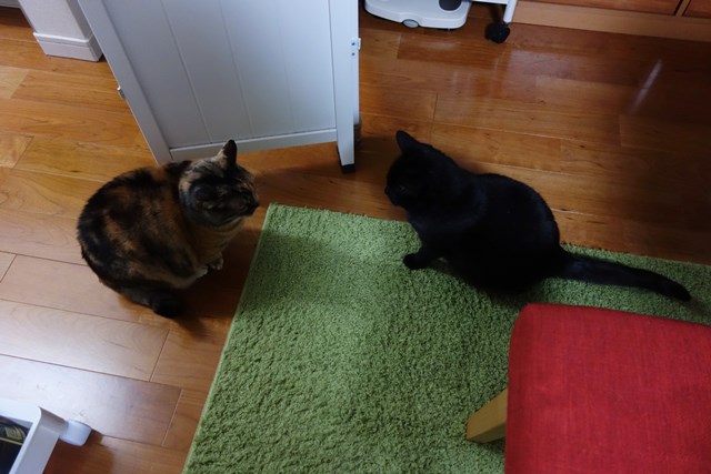 f:id:hiraryo0201:20180203230926j:plain