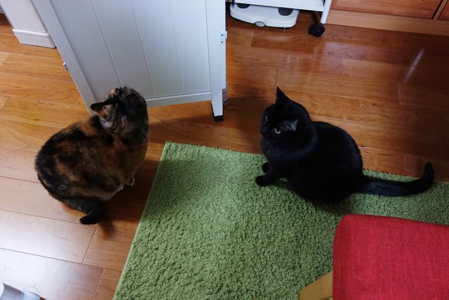 f:id:hiraryo0201:20180203231141j:plain