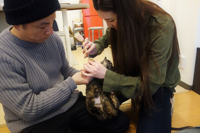 f:id:hiraryo0201:20180204173705j:plain f:id:hiraryo0201:20180204173705j:plain