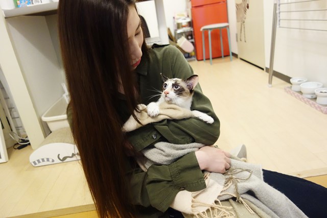 f:id:hiraryo0201:20180204173740j:plain f:id:hiraryo0201:20180204173740j:plain