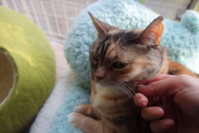 f:id:hiraryo0201:20180204173850j:plain f:id:hiraryo0201:20180204173850j:plain