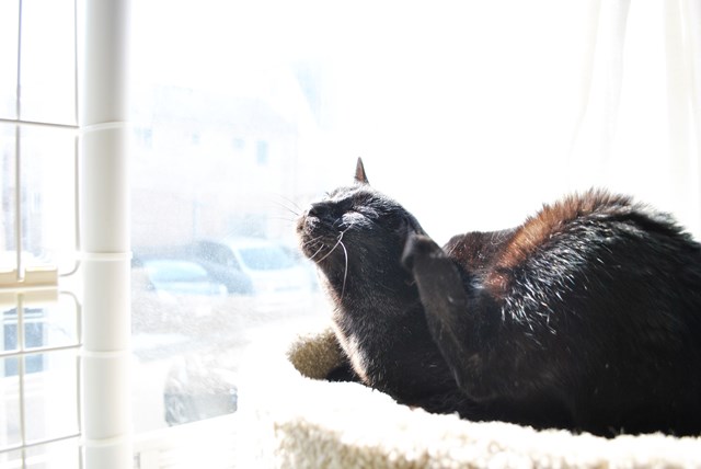 f:id:hiraryo0201:20180204181128j:plain f:id:hiraryo0201:20180204181128j:plain