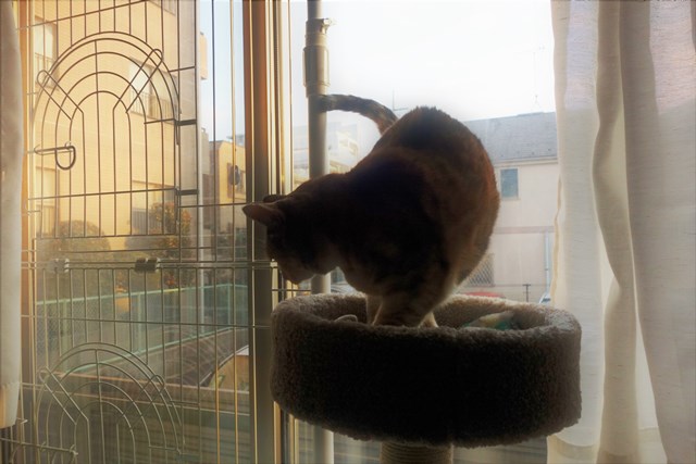 f:id:hiraryo0201:20180204181146j:plain f:id:hiraryo0201:20180204181146j:plain