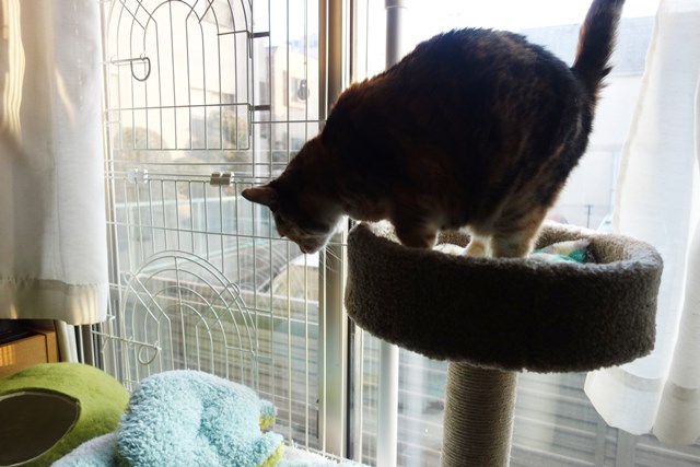 f:id:hiraryo0201:20180204181153j:plain f:id:hiraryo0201:20180204181153j:plain