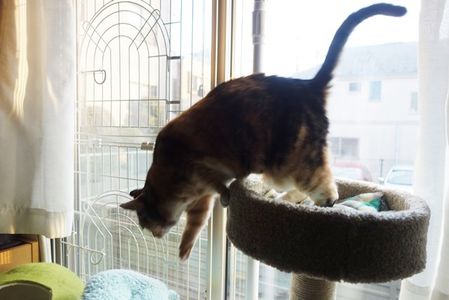 f:id:hiraryo0201:20180204181159j:plain f:id:hiraryo0201:20180204181159j:plain