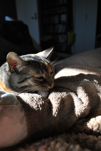 f:id:hiraryo0201:20180204181307j:plain f:id:hiraryo0201:20180204181307j:plain