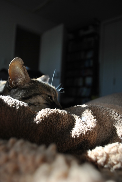 f:id:hiraryo0201:20180204181312j:plain f:id:hiraryo0201:20180204181312j:plain