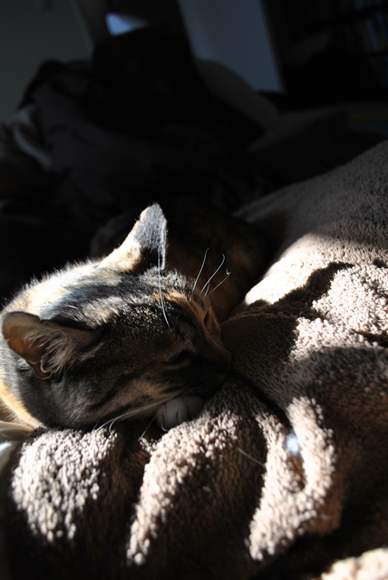 f:id:hiraryo0201:20180204181317j:plain f:id:hiraryo0201:20180204181317j:plain