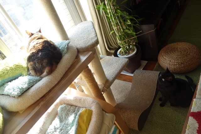 f:id:hiraryo0201:20180204181420j:plain