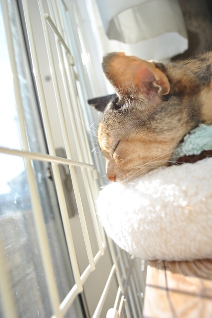 f:id:hiraryo0201:20180204182109j:plain f:id:hiraryo0201:20180204182109j:plain