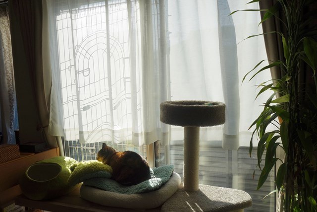 f:id:hiraryo0201:20180204182256j:plain f:id:hiraryo0201:20180204182256j:plain