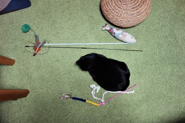 f:id:hiraryo0201:20180204182733j:plain