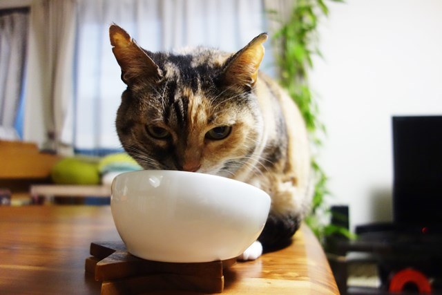 f:id:hiraryo0201:20180204182809j:plain