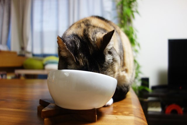 f:id:hiraryo0201:20180204182817j:plain