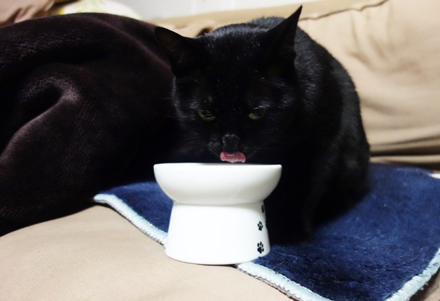 f:id:hiraryo0201:20180204182827j:plain