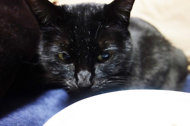 f:id:hiraryo0201:20180204182847j:plain