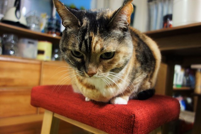 f:id:hiraryo0201:20180204182854j:plain