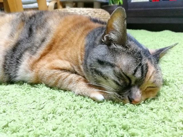 f:id:hiraryo0201:20180204205344j:image
