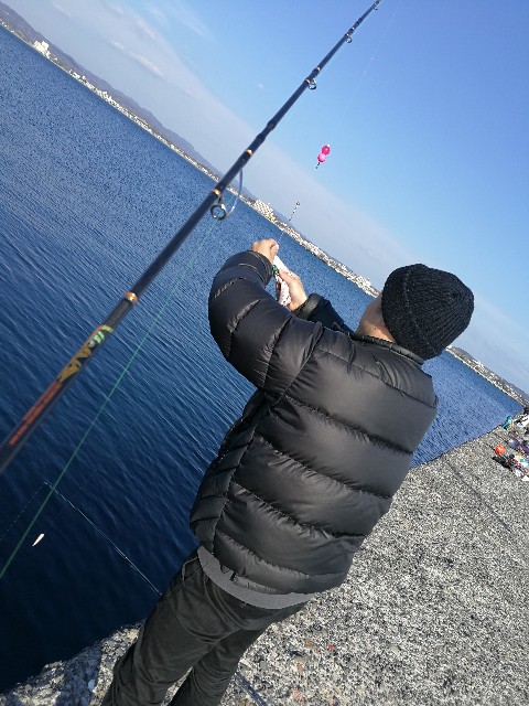 f:id:hiraryo0201:20180210204940j:image f:id:hiraryo0201:20180210204940j:image