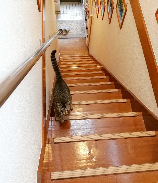 f:id:hiraryo0201:20180212104001j:image f:id:hiraryo0201:20180212104001j:image