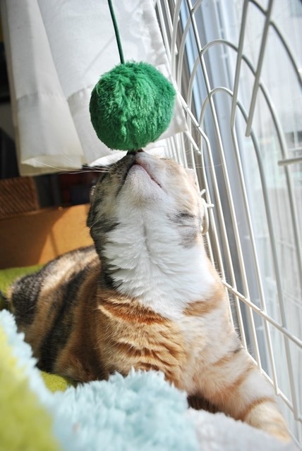 f:id:hiraryo0201:20180217090157j:plain f:id:hiraryo0201:20180217090157j:plain