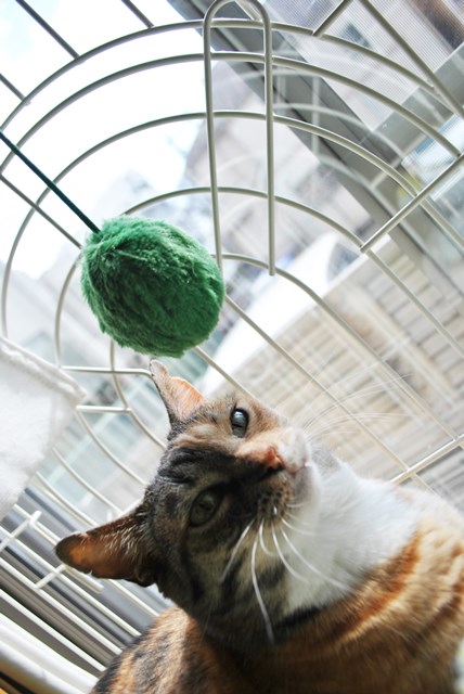 f:id:hiraryo0201:20180217090222j:plain f:id:hiraryo0201:20180217090222j:plain