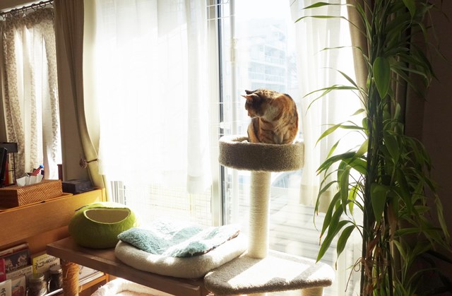 f:id:hiraryo0201:20180218085717j:plain f:id:hiraryo0201:20180218085717j:plain