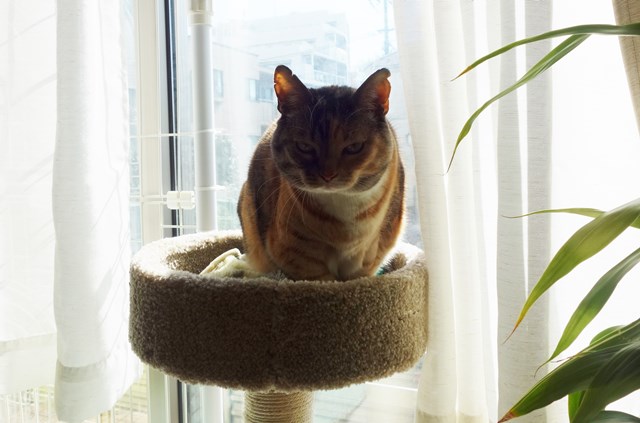 f:id:hiraryo0201:20180218085727j:plain f:id:hiraryo0201:20180218085727j:plain