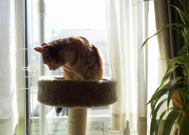 f:id:hiraryo0201:20180218085739j:plain f:id:hiraryo0201:20180218085739j:plain