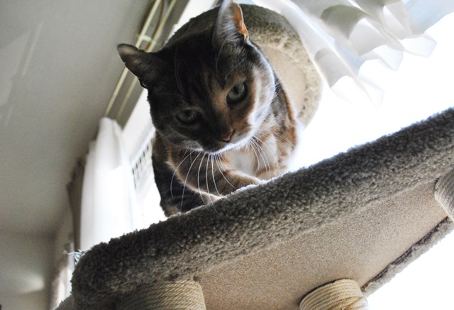 f:id:hiraryo0201:20180218101049j:plain f:id:hiraryo0201:20180218101049j:plain