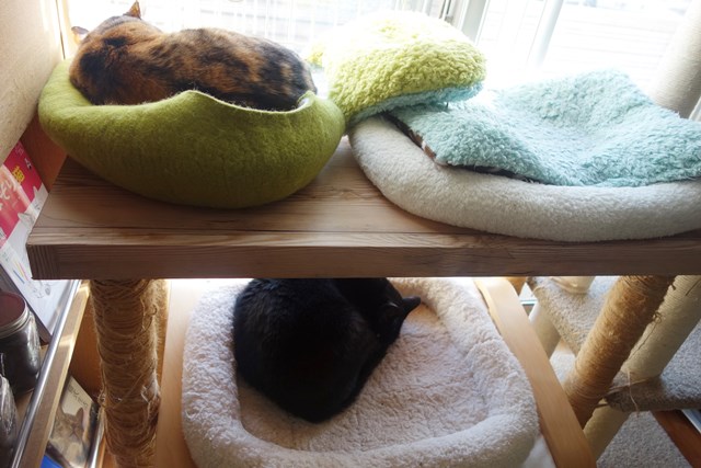 f:id:hiraryo0201:20180225101151j:plain