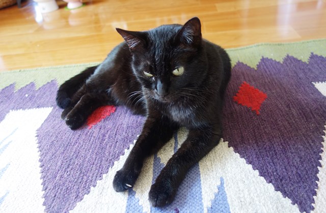 f:id:hiraryo0201:20180225101158j:plain